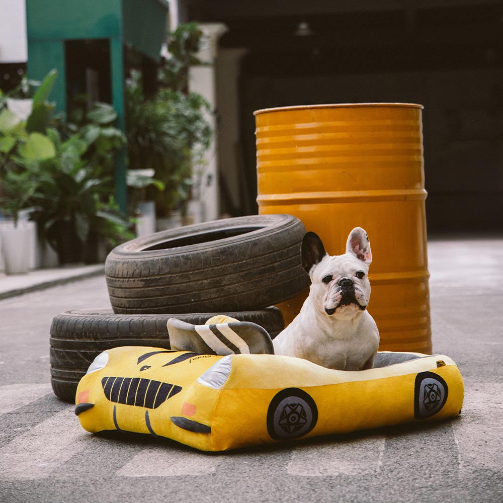 Cama para Animais de Estimação Clássica Conversível com Almofada para Carros de Corrida - Fast&Fur