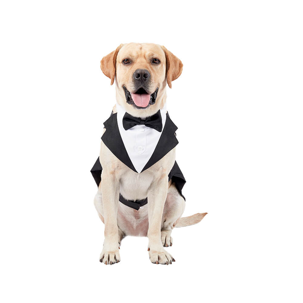 Roupas para cães de estimação, vestido de terno com gravata borboleta para casamento