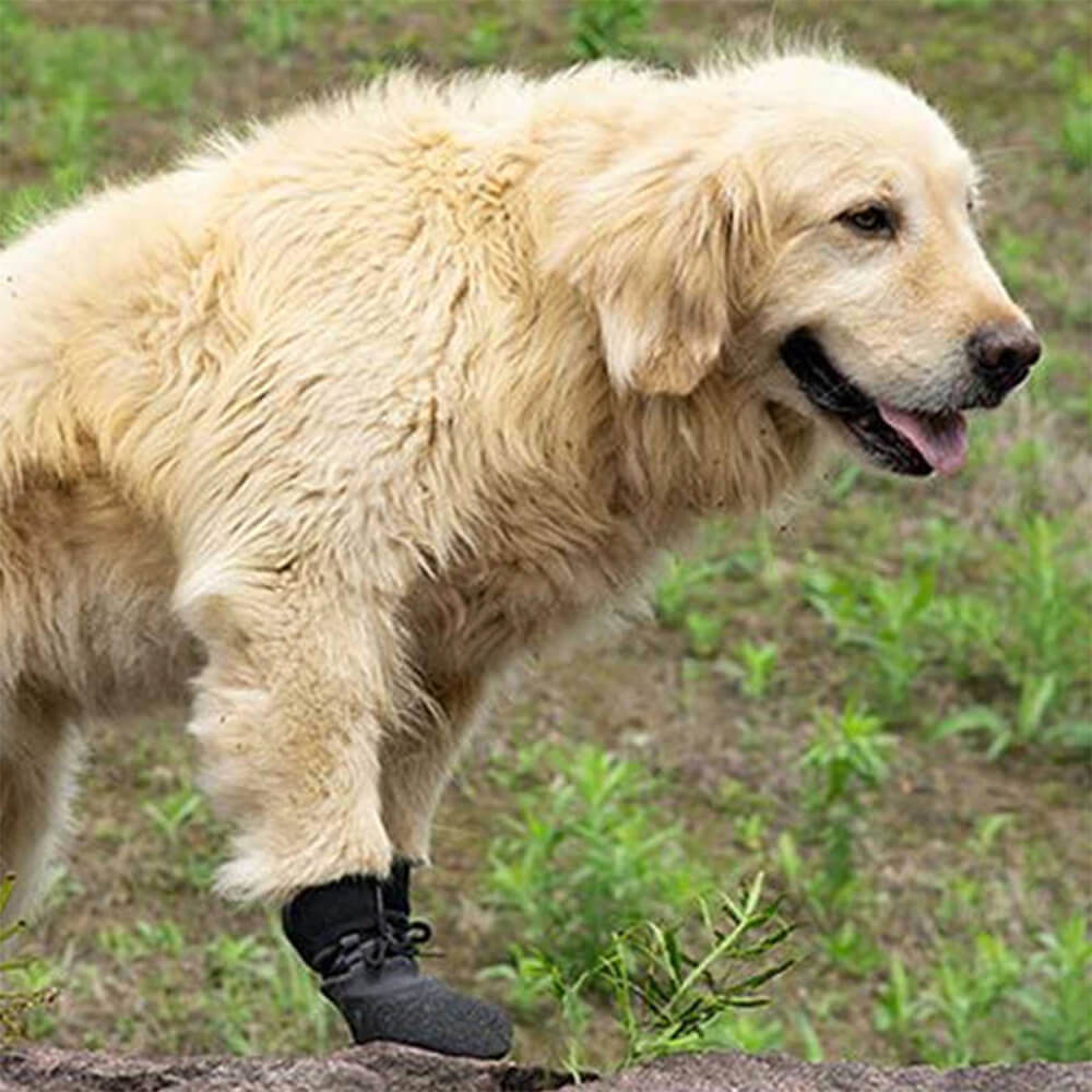 Botas para cães antiderrapantes, impermeáveis, respiráveis, para caminhadas e corrida ao ar livre