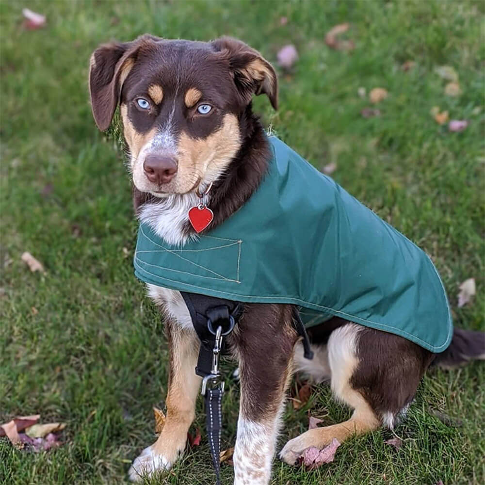 Capa de chuva para cães com velcro, leve e elegante, à prova d'água, para áreas externas