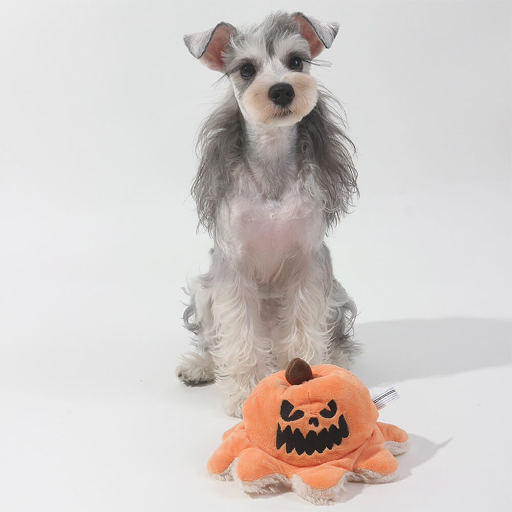 Halloween pirata abóbora polvo reversível flip pelúcia brinquedo para cachorro