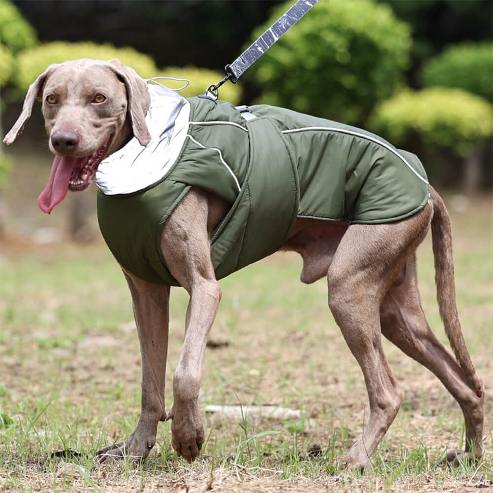 Casaco impermeável quente gola alta reflexiva roupas para cães