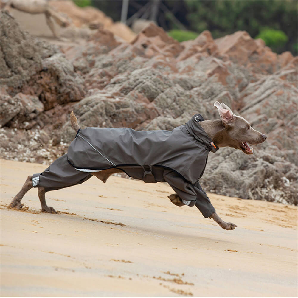 Capa de chuva impermeável para cães de quatro patas ao ar livre com capuz com padrão reflexivo