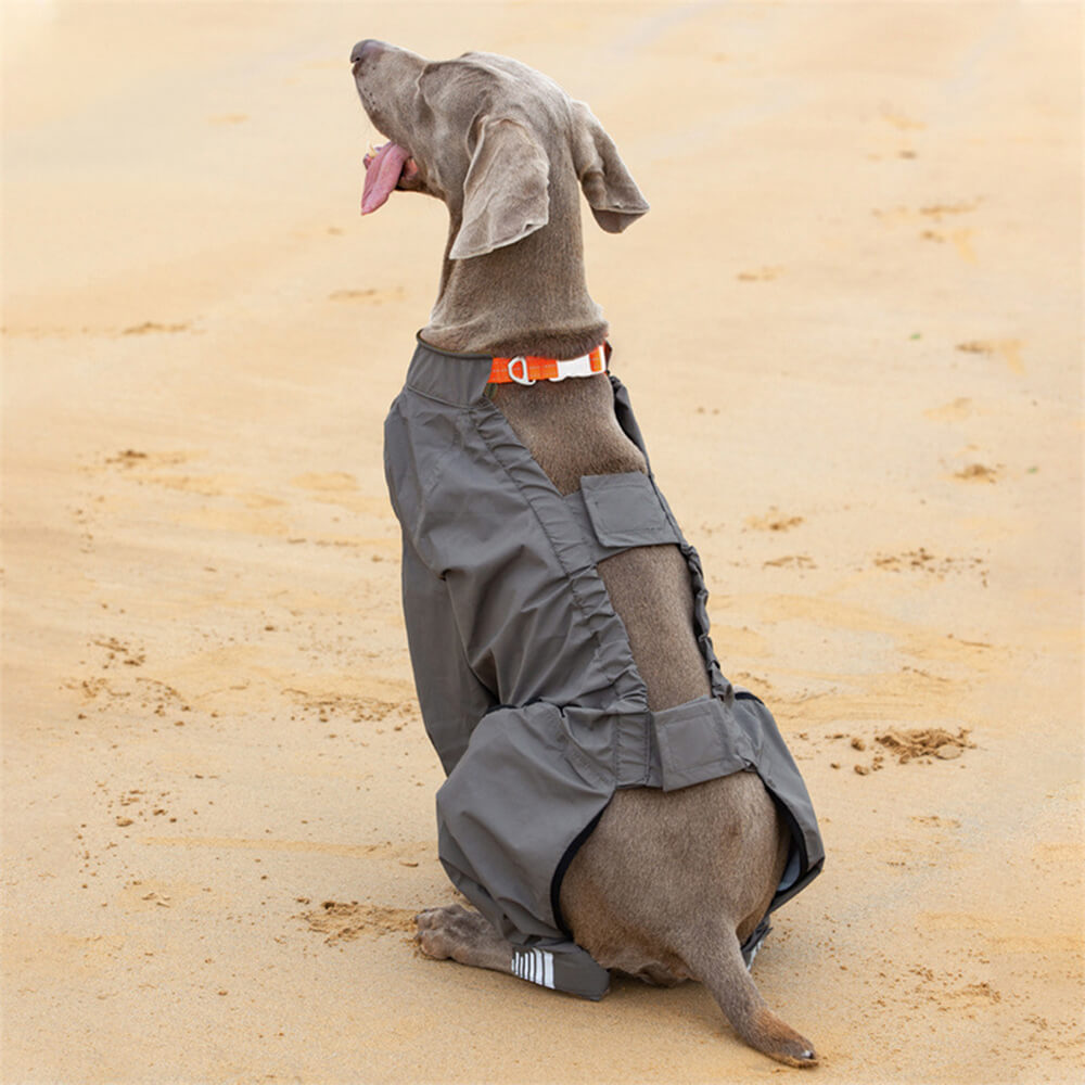 Capa de chuva impermeável para cães de quatro patas ao ar livre com capuz com padrão reflexivo