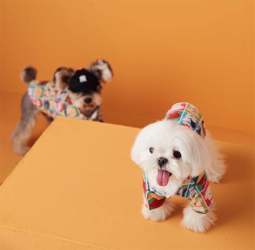 Moda de verão para cães com estampa fofa de cabeça de cachorro para animais de estimação pequenos e médios