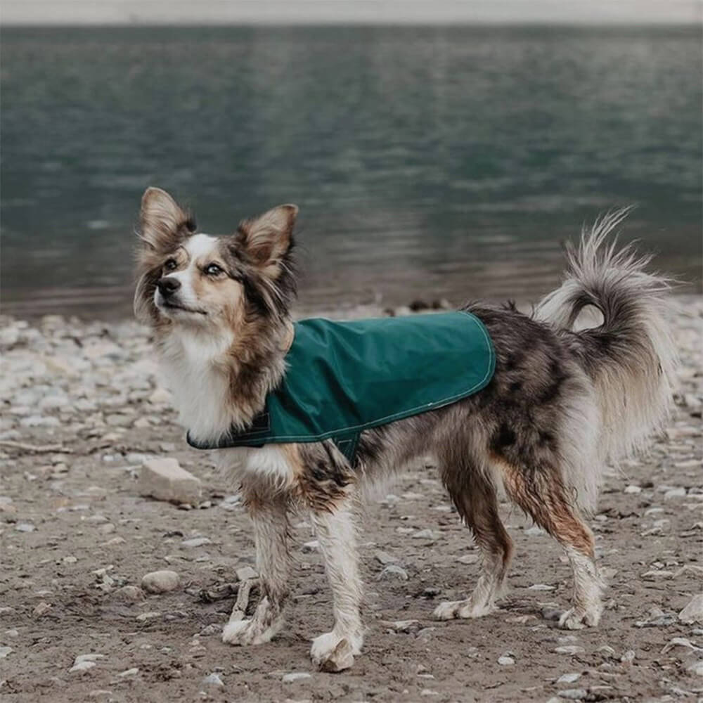 Capa de chuva para cães com velcro, leve e elegante, à prova d'água, para áreas externas