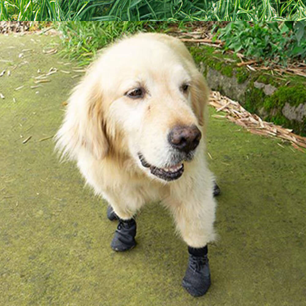 Botas para cães antiderrapantes, impermeáveis, respiráveis, para caminhadas e corrida ao ar livre