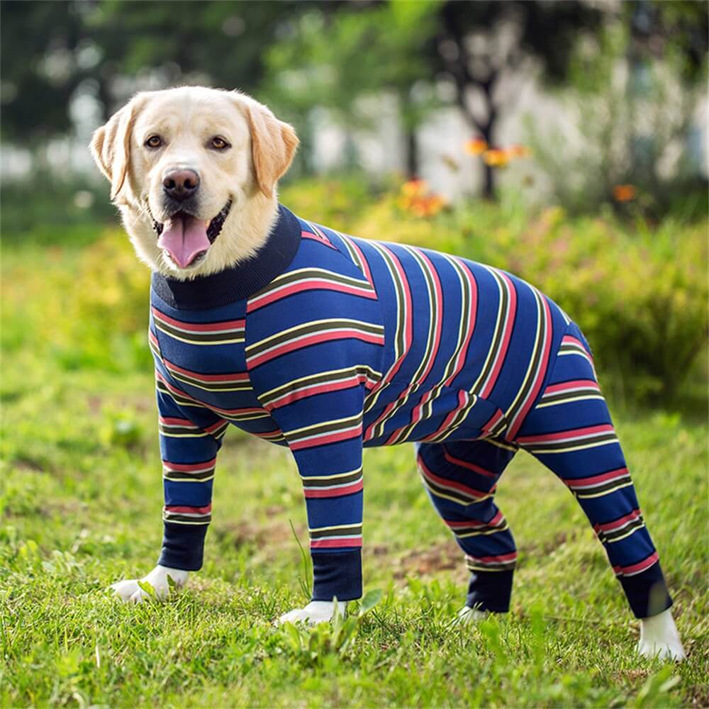 Roupas para cães grandes: pijamas finos de quatro patas com cobertura total da barriga