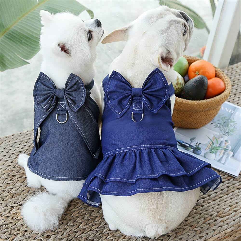 Conjunto de vestido e colete jeans para cachorro - adorável e moderno para raças pequenas