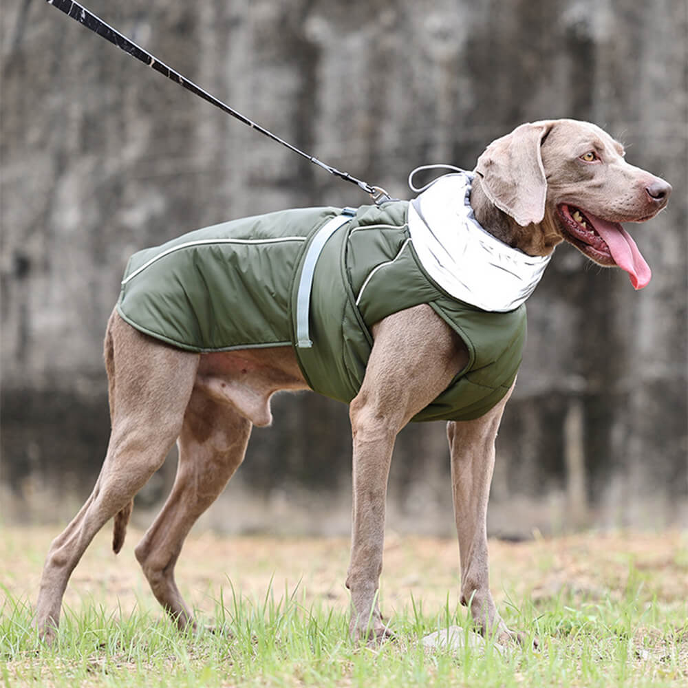 Casaco impermeável quente gola alta reflexiva roupas para cães