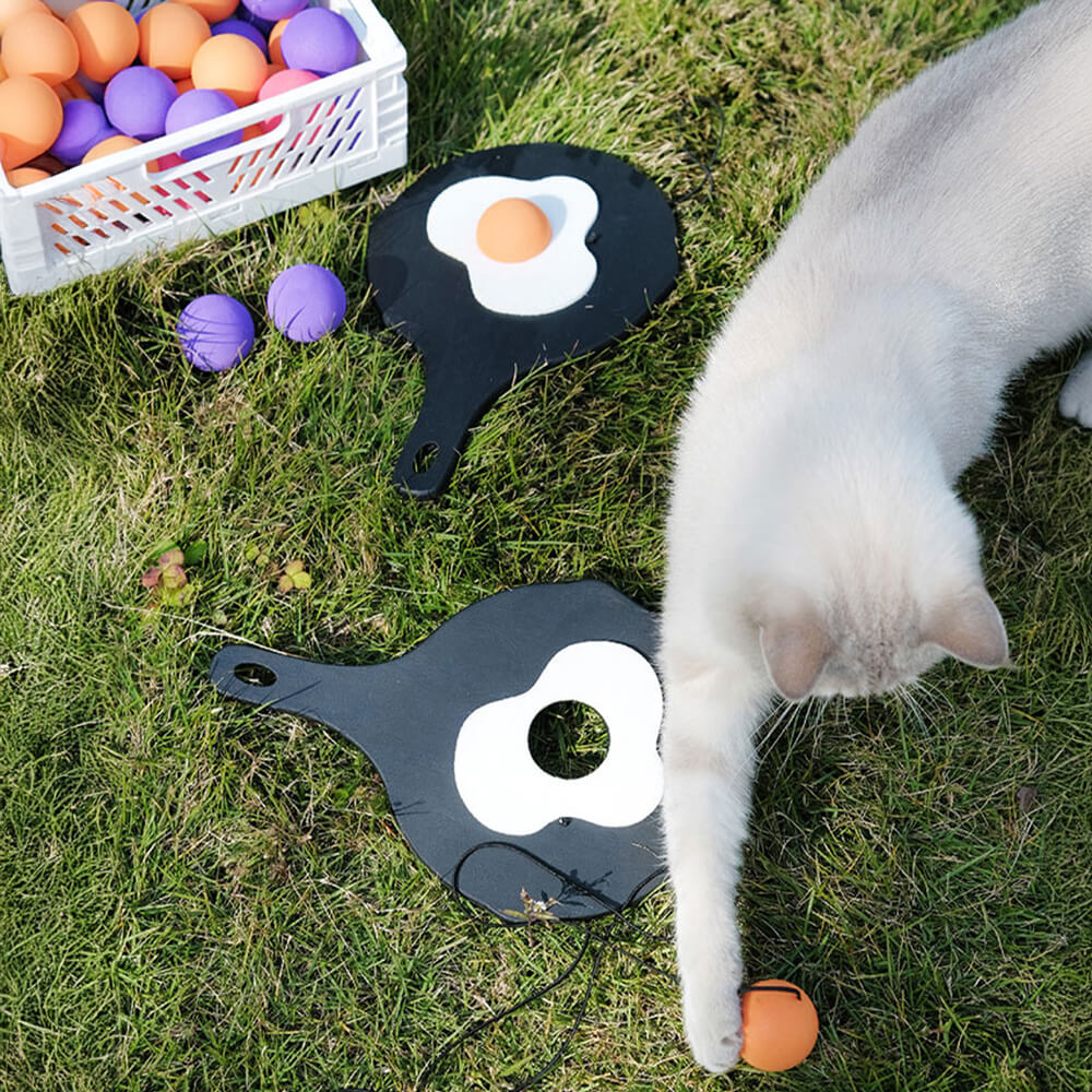 Corda elástica Ping Pong Paddle brinquedo interativo provocador de gato