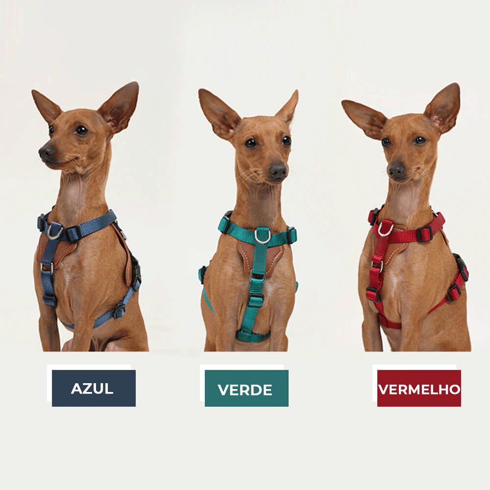 Conjunto Multifuncional de Peitoral Anti-puxão de Mãos Livres de Caminhada para Cães com Bolsa para Armazenamento