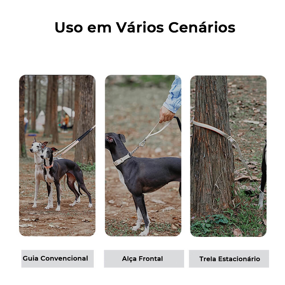 Coleira de treinamento para cães Martingale anti-tração de reação em cadeia