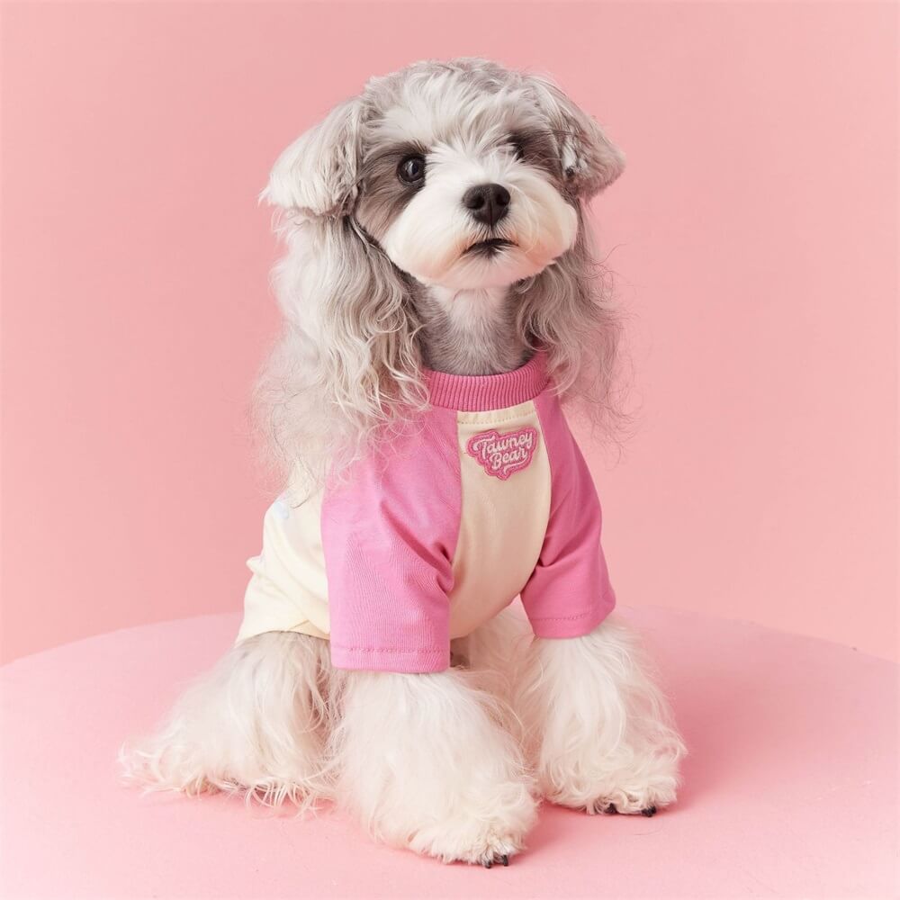 Roupas para cães de estimação bonito e fofo contraste cor tendência moda contraste cor camiseta