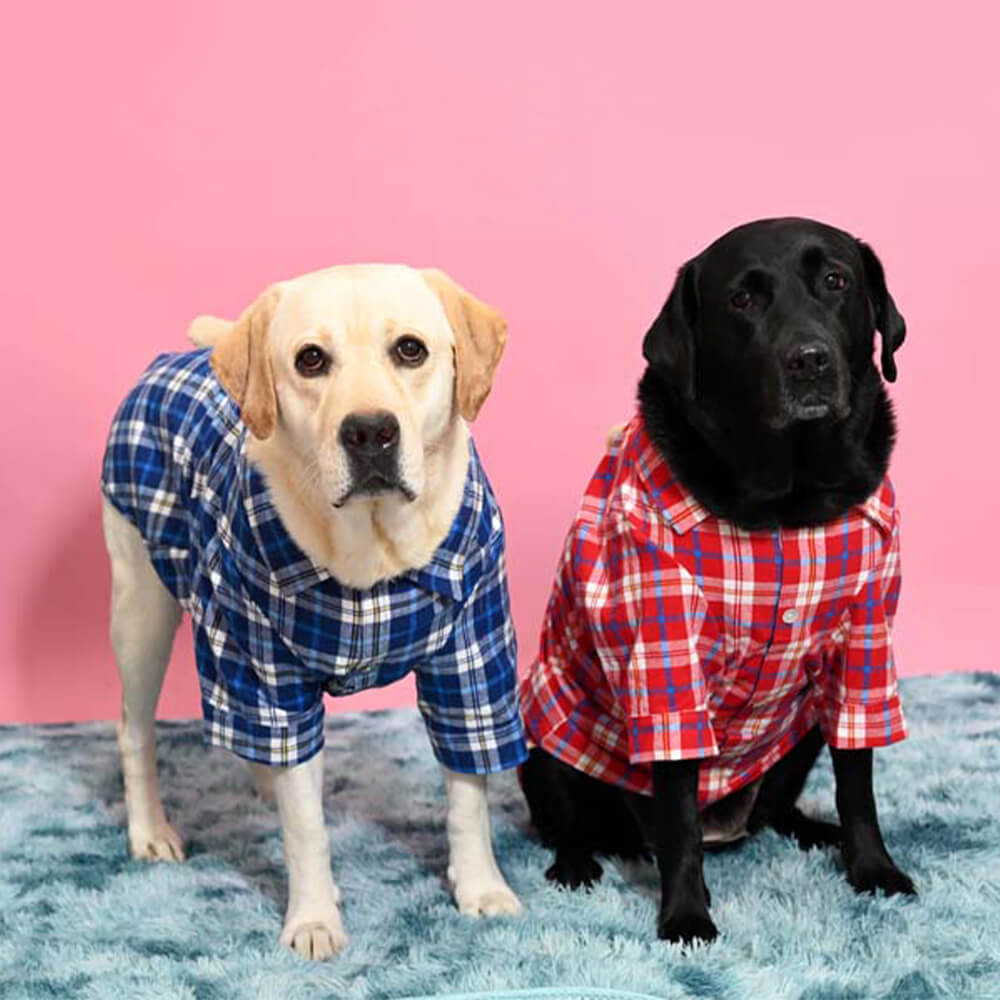 Camisa polo vintage xadrez urso boneca cachorro viagem