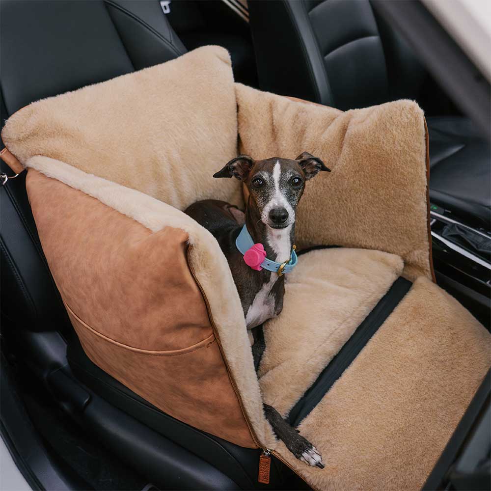 Grande assento de carro para cães, fofo, seguro e antiderrapante, para transporte de cães - Passeio e Rover