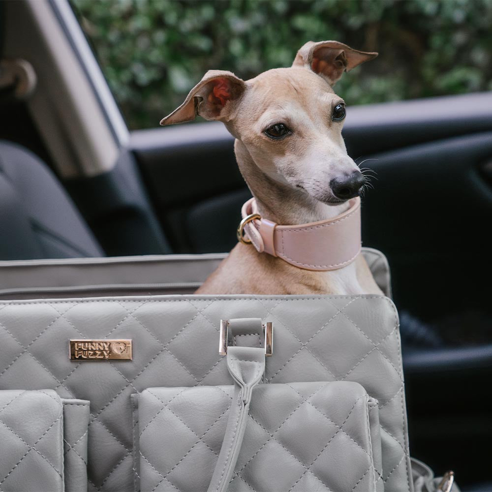 Grande bolsa de viagem para animais de estimação, multifuncional e estilosa, para humanos e cães - Wandering Tail