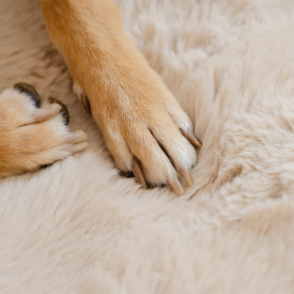 Capa protetora para assento de carro, cobertor fofo e aconchegante para animais de estimação - Surestep