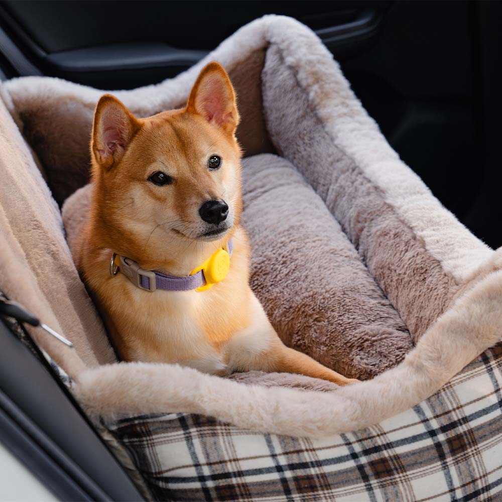 Assento de carro para cães grande, clássico e fofo, mantenha-o seguro