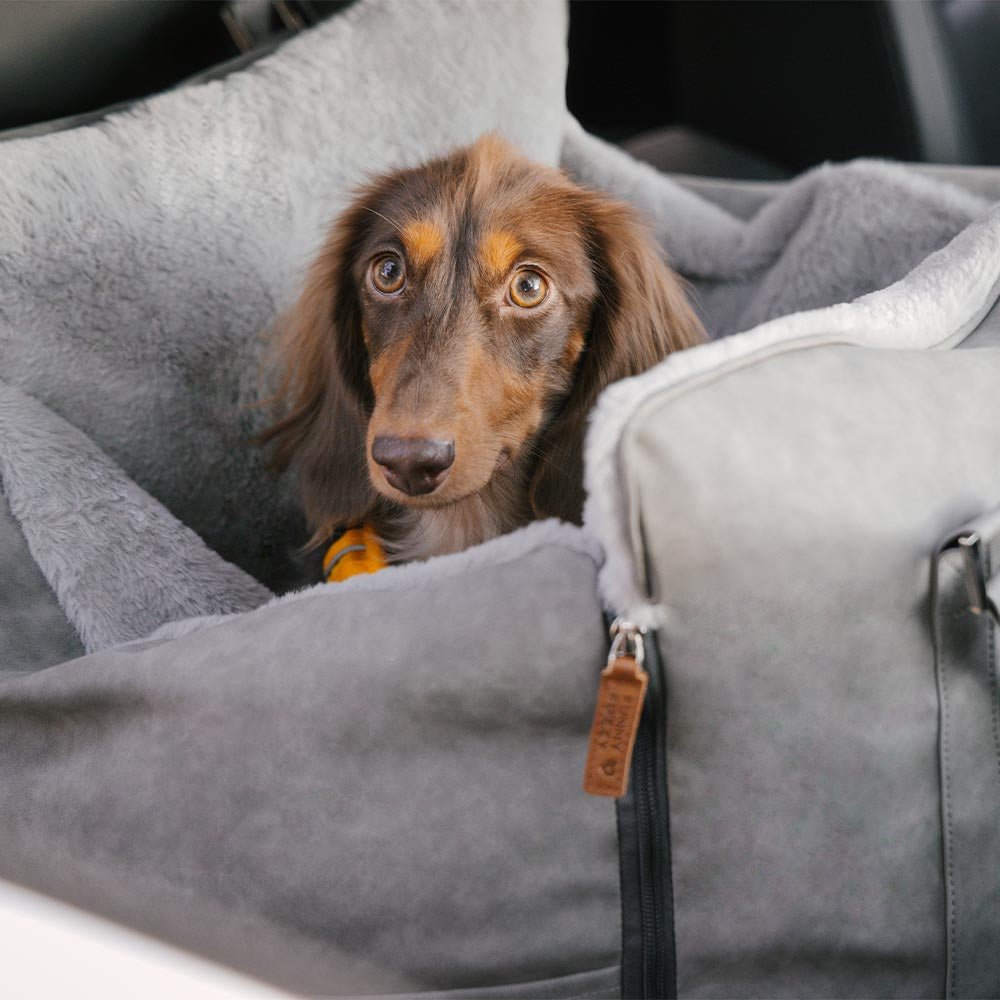 Grande assento de carro para cães, fofo, seguro e antiderrapante, para transporte de cães - Passeio e Rover