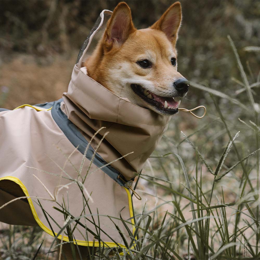 Capa de chuva ajustável reflexiva impermeável com bolso para cães e humanos - mantenha-se seco