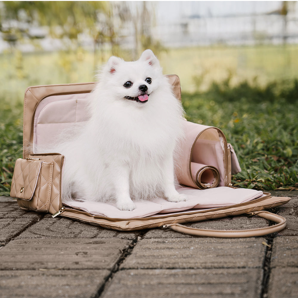 Grande bolsa de viagem para animais de estimação, multifuncional e estilosa, para humanos e cães - Wandering Tail