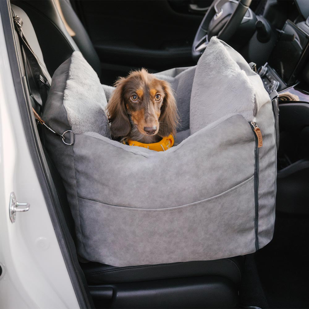 Grande assento de carro para cães, fofo, seguro e antiderrapante, para transporte de cães - Passeio e Rover