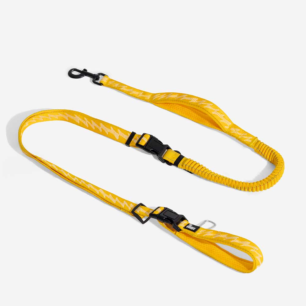 Coleiras de nylon grandes para cães, ajustáveis, versáteis e refletivas, de dupla face, com alça macia - Flexi Walker