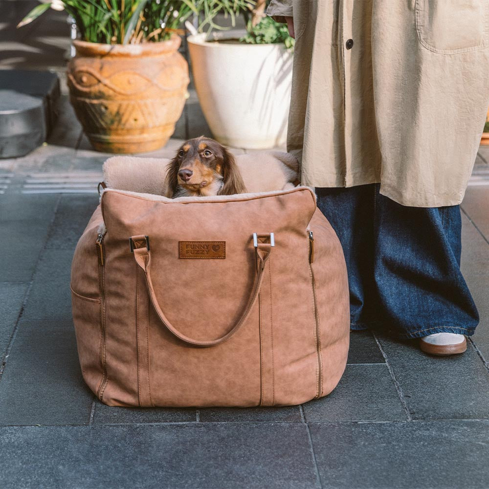 Grande assento de carro para cães, fofo, seguro e antiderrapante, para transporte de cães - Passeio e Rover