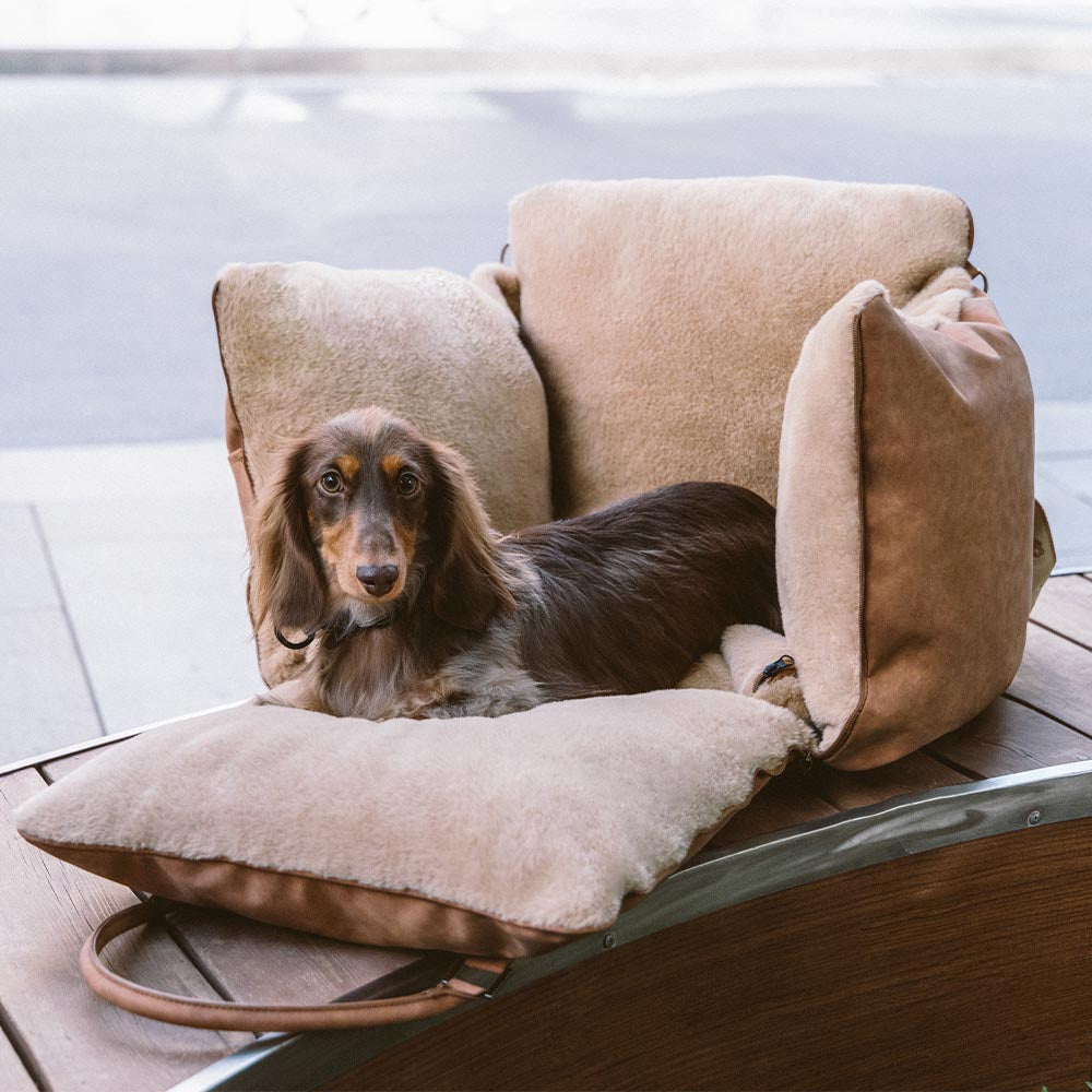 Grande assento de carro para cães, fofo, seguro e antiderrapante, para transporte de cães - Passeio e Rover