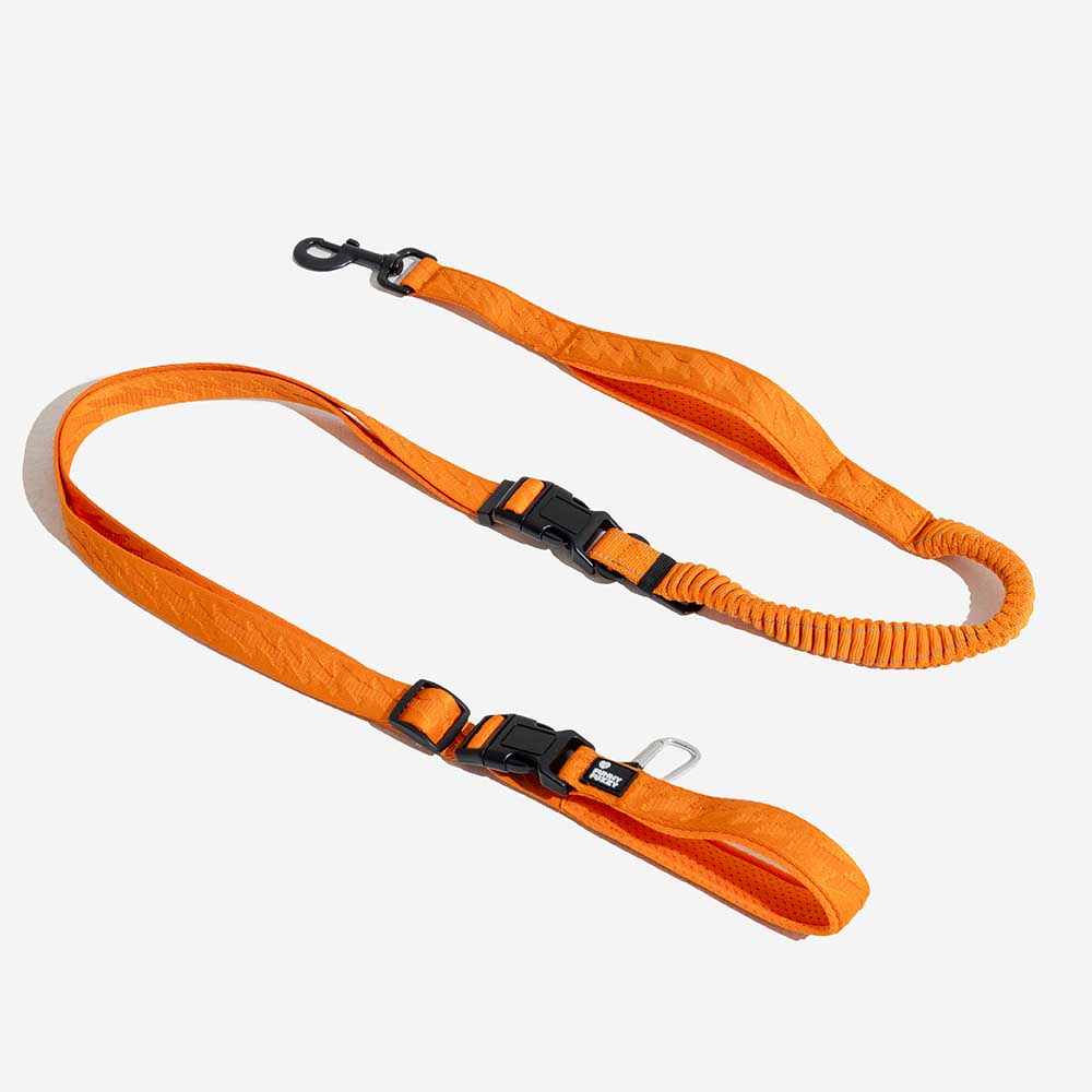 Coleiras de nylon grandes para cães, ajustáveis, versáteis e refletivas, de dupla face, com alça macia - Flexi Walker