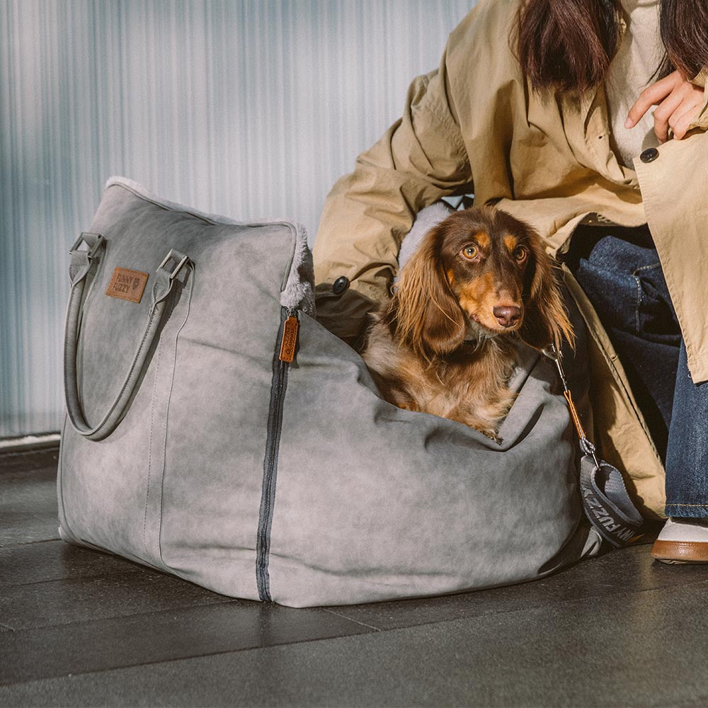 Grande assento de carro para cães, fofo, seguro e antiderrapante, para transporte de cães - Passeio e Rover