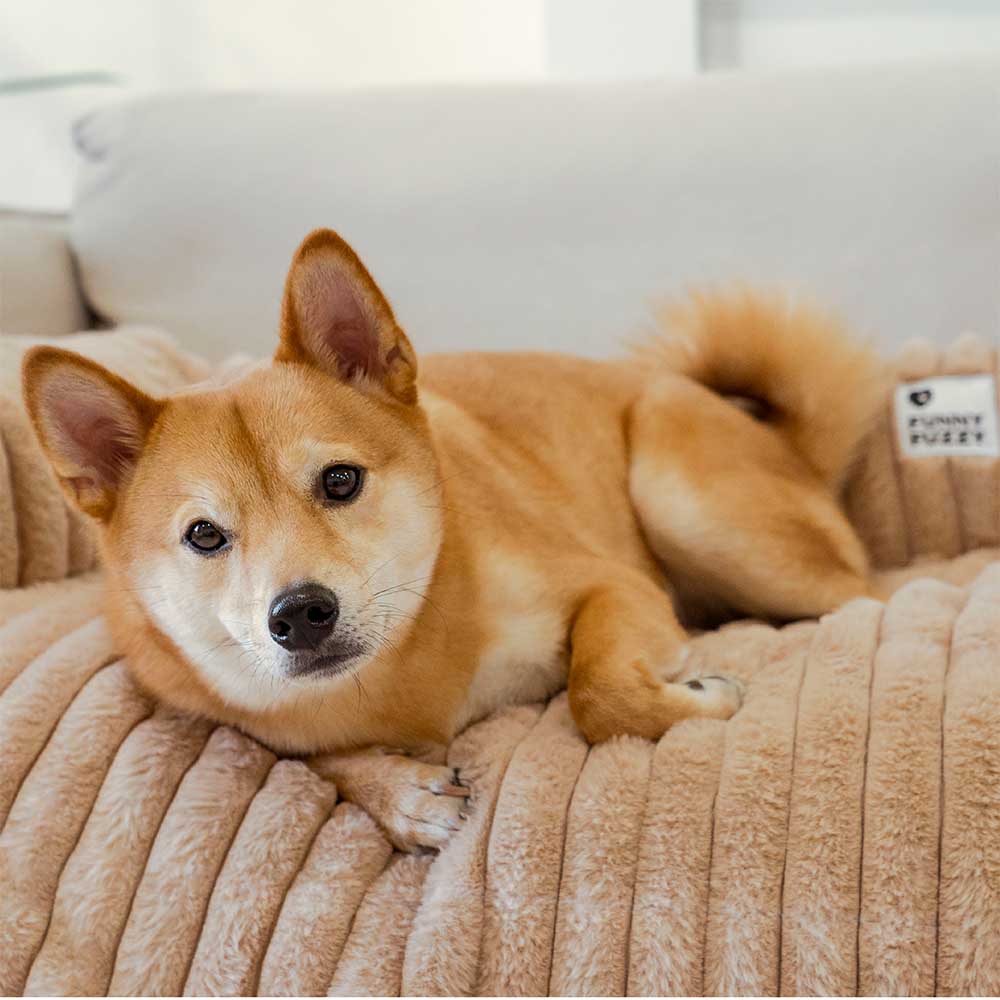 Cobertor de sofá fofo, almofada para cachorro, capa de sofá