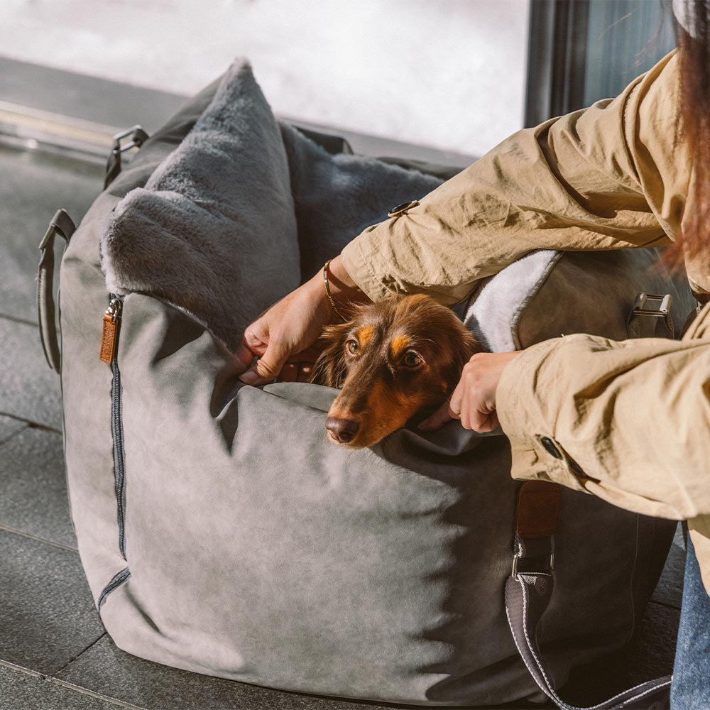 Grande assento de carro para cães, fofo, seguro e antiderrapante, para transporte de cães - Passeio e Rover