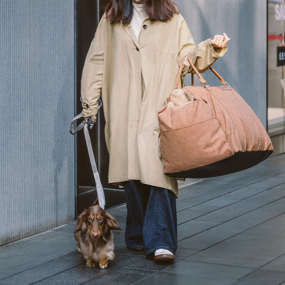 Grande assento de carro para cães, fofo, seguro e antiderrapante, para transporte de cães - Passeio e Rover