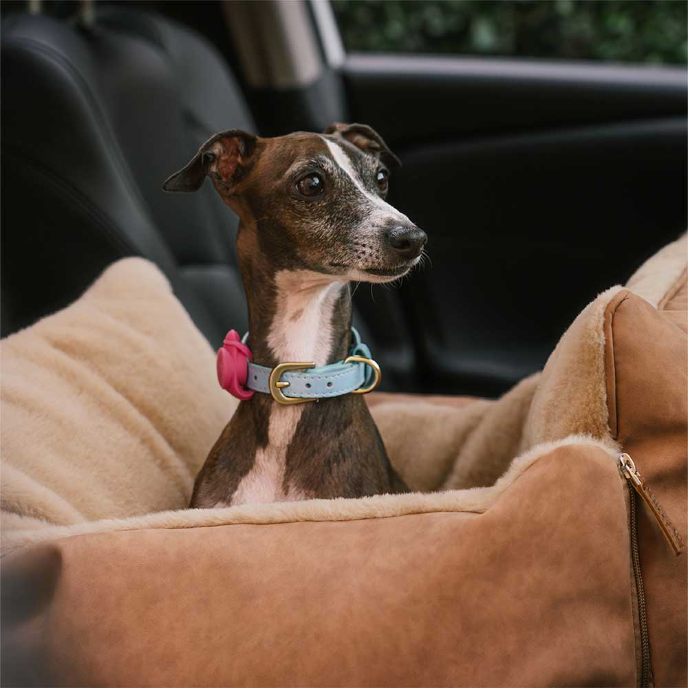 Grande assento de carro para cães, fofo, seguro e antiderrapante, para transporte de cães - Passeio e Rover