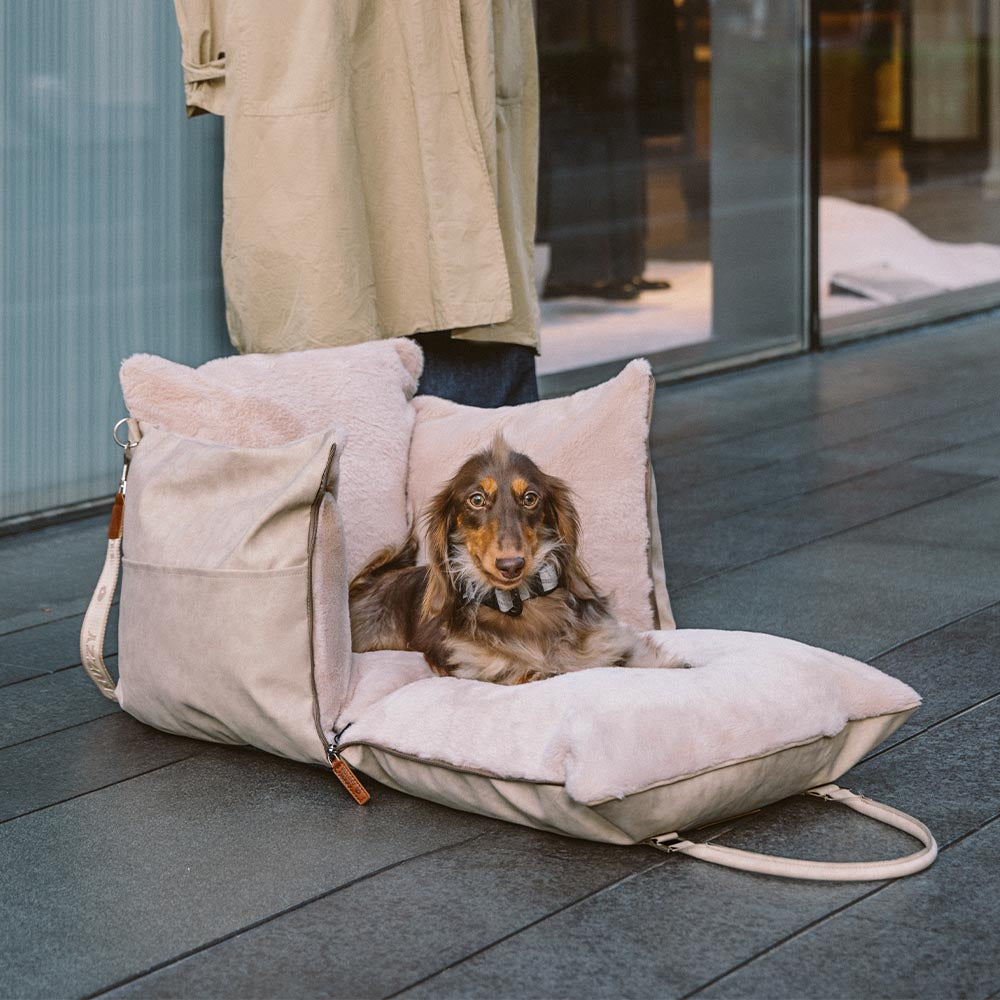 Grande assento de carro para cães, fofo, seguro e antiderrapante, para transporte de cães - Passeio e Rover