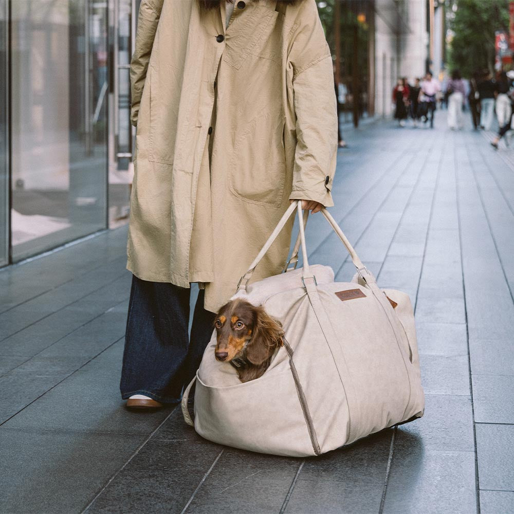 Grande assento de carro para cães, fofo, seguro e antiderrapante, para transporte de cães - Passeio e Rover