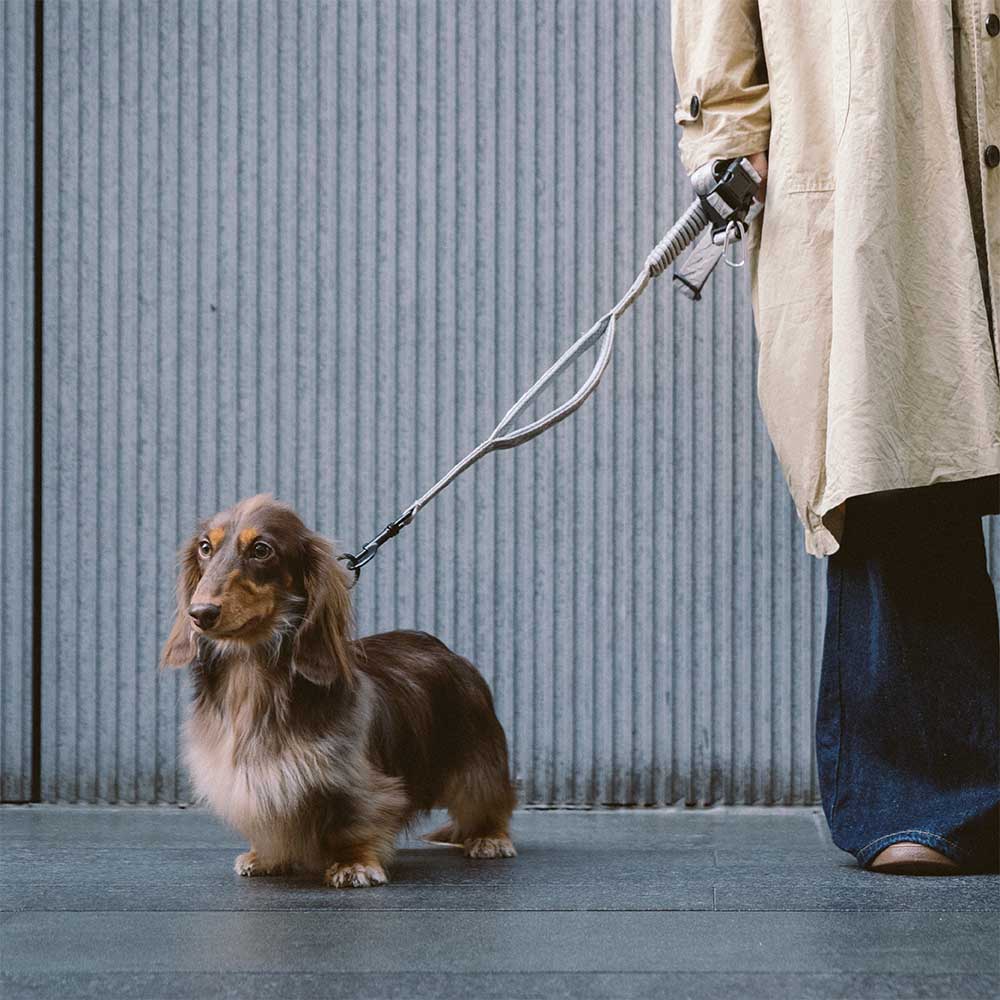 Coleiras de nylon grandes para cães, ajustáveis, versáteis e refletivas, de dupla face, com alça macia - Flexi Walker