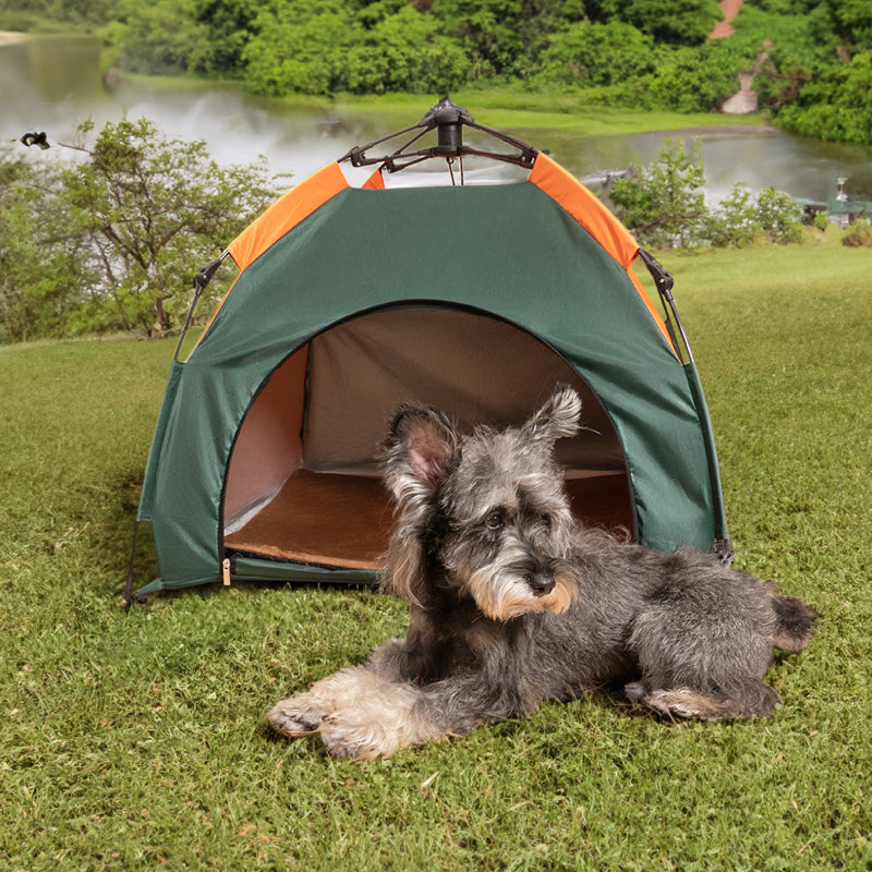 Tenda dobrável para acampamento portátil ao ar livre para cães e gatos