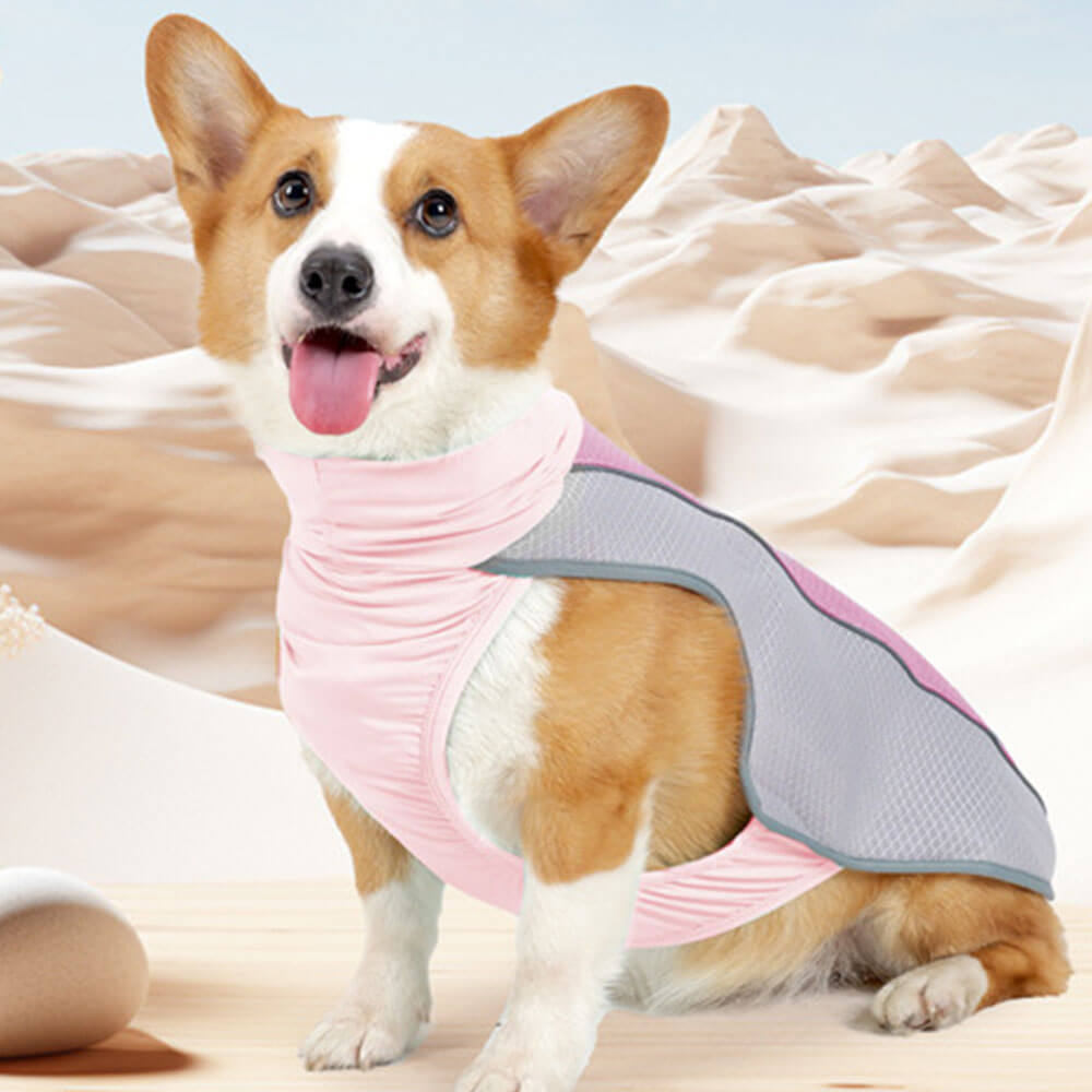 Roupas para animais de estimação Proteção contra o calor do verão para cães - Roupas lce Cool para cães