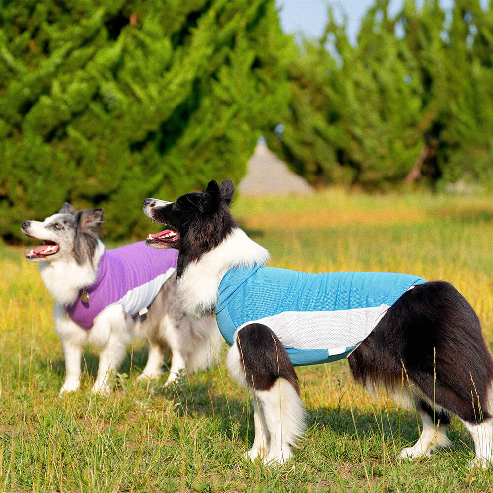 Roupas para cães de estimação ao ar livre, cor contrastante, chapéu de sol e colete de resfriamento solar