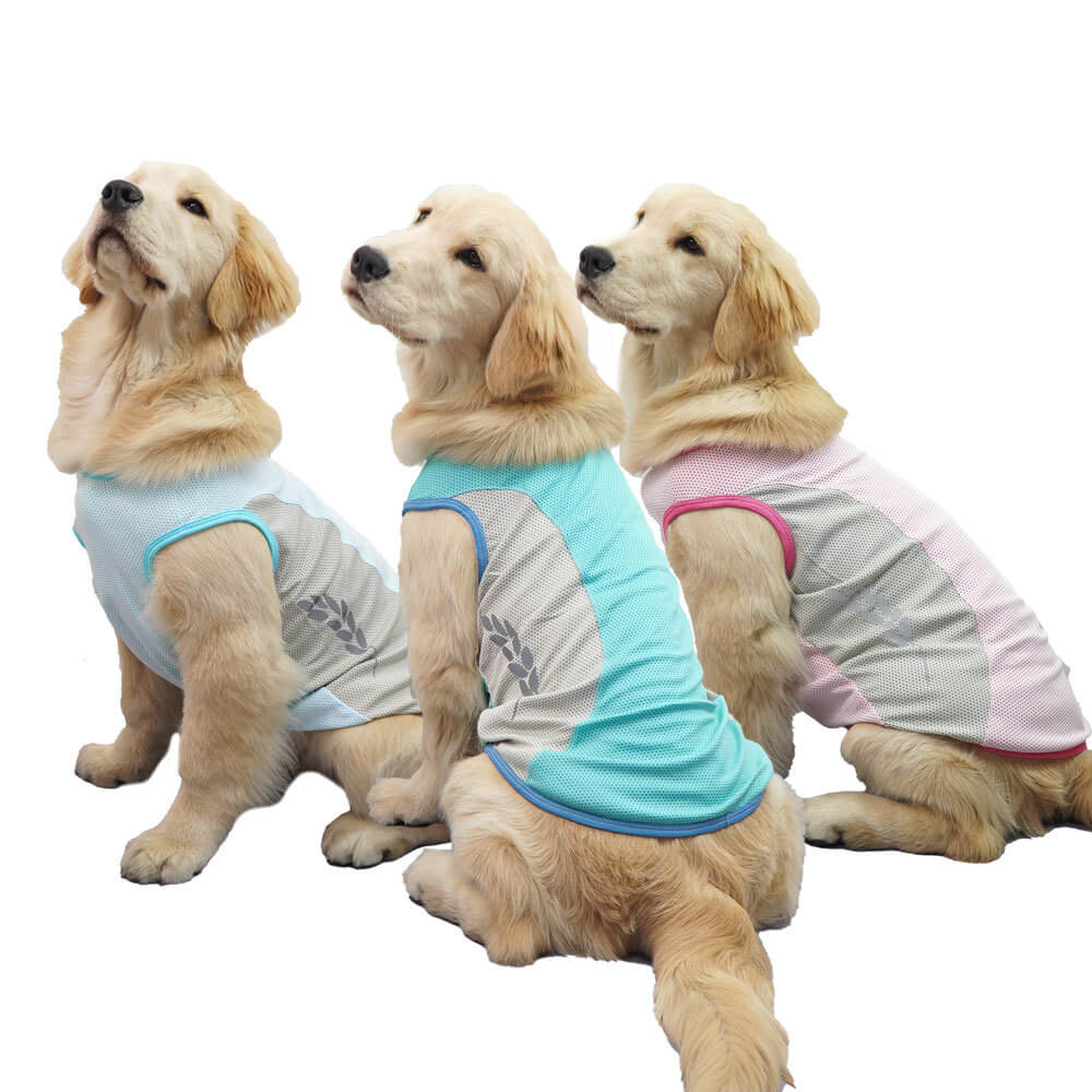 Roupas para cães de estimação, favo de mel, orelhas de trigo refletivas, roupas legais, colete combinando com cores