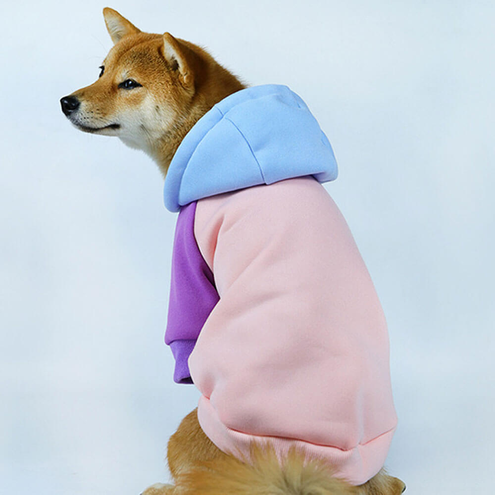 Novo outono e inverno moletom com capuz para animais de estimação para cães combinando com cores moletom com capuz