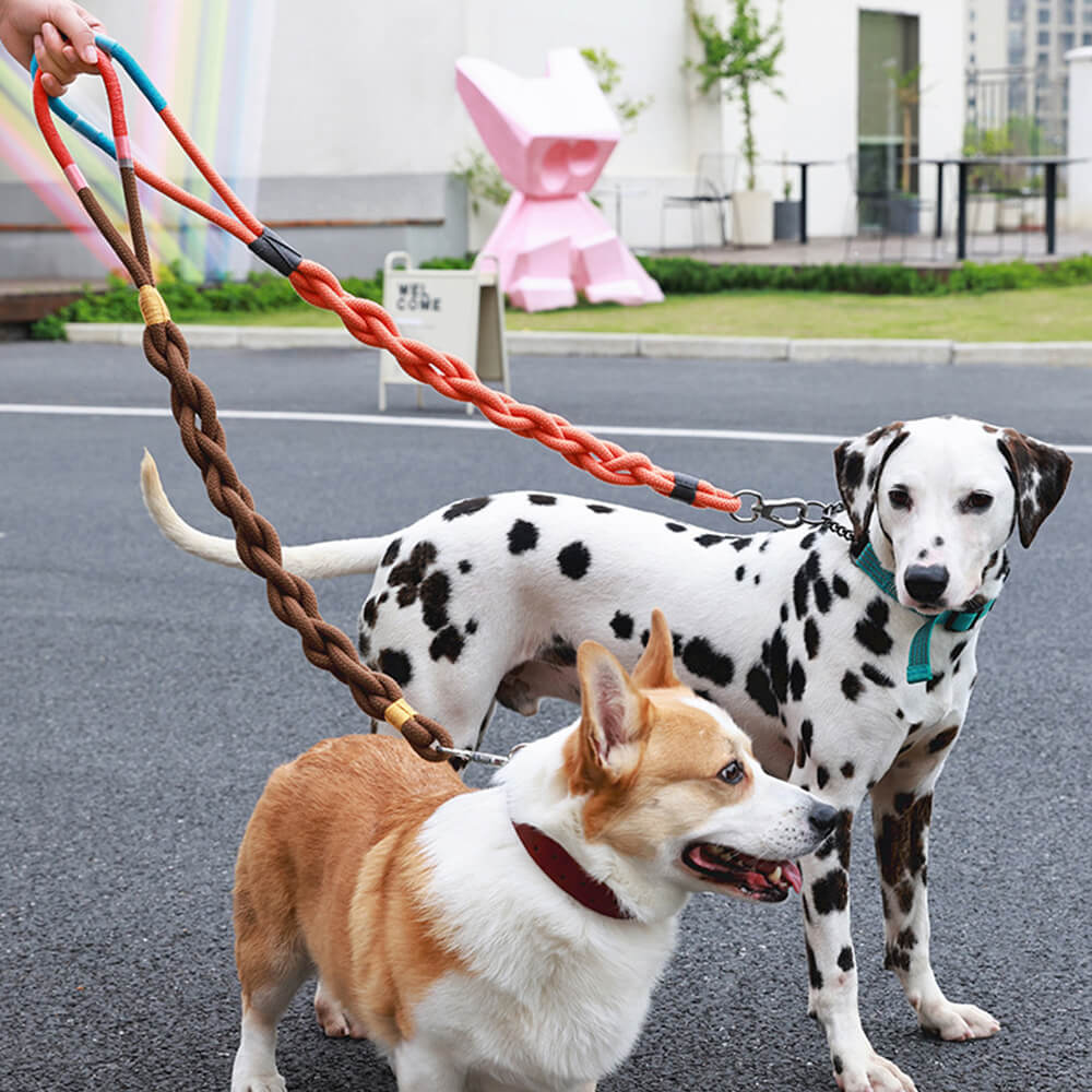 Corda de tração para cães tecida à mão - grossa e durável para caminhadas confortáveis