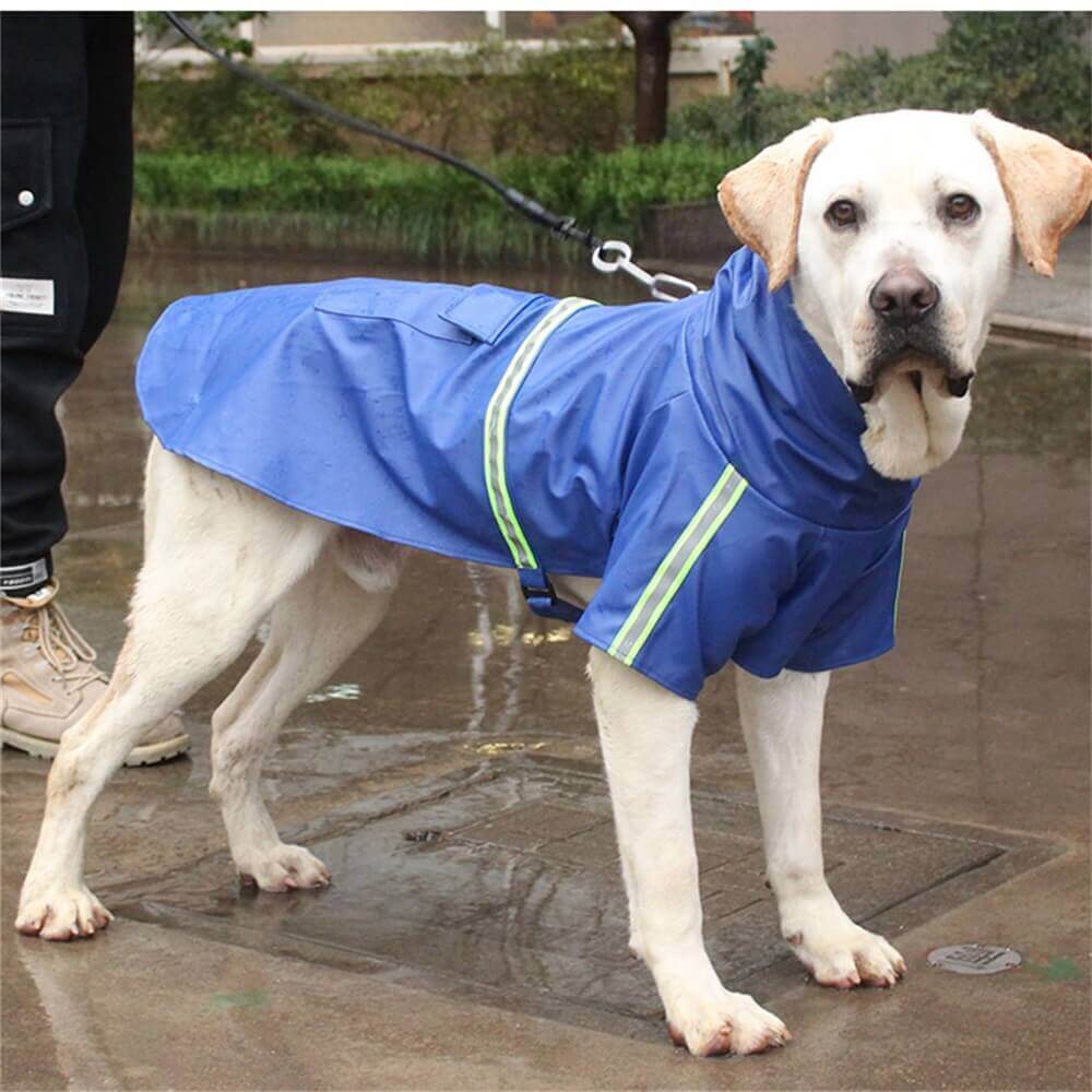 Capa de chuva reflexiva para cães ao ar livre – à prova d'água e visibilidade para proteção contra todos os climas