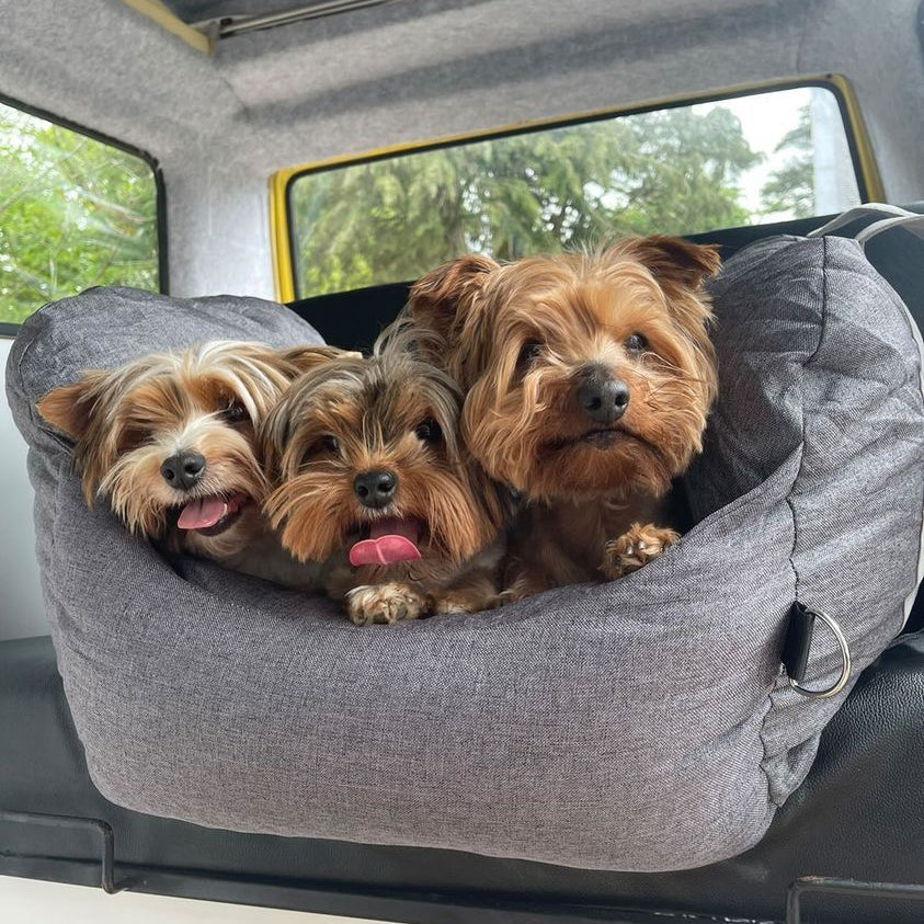 Cama para Assento de Carro para Cachorros e Filhotes para Viagens Seguras - Primeira classe