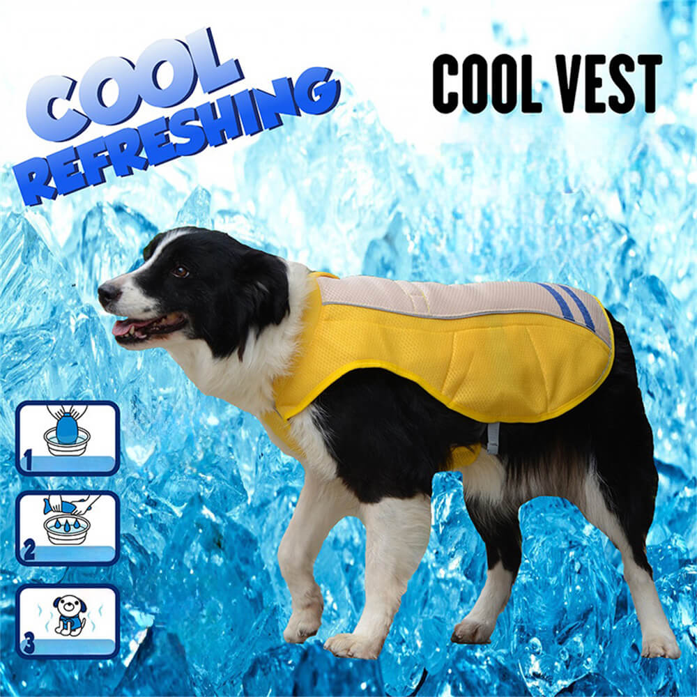 Roupas para cães de estimação, cores combinando, cores brilhantes, moda para cães, roupas legais ao ar livre, colete de proteção solar