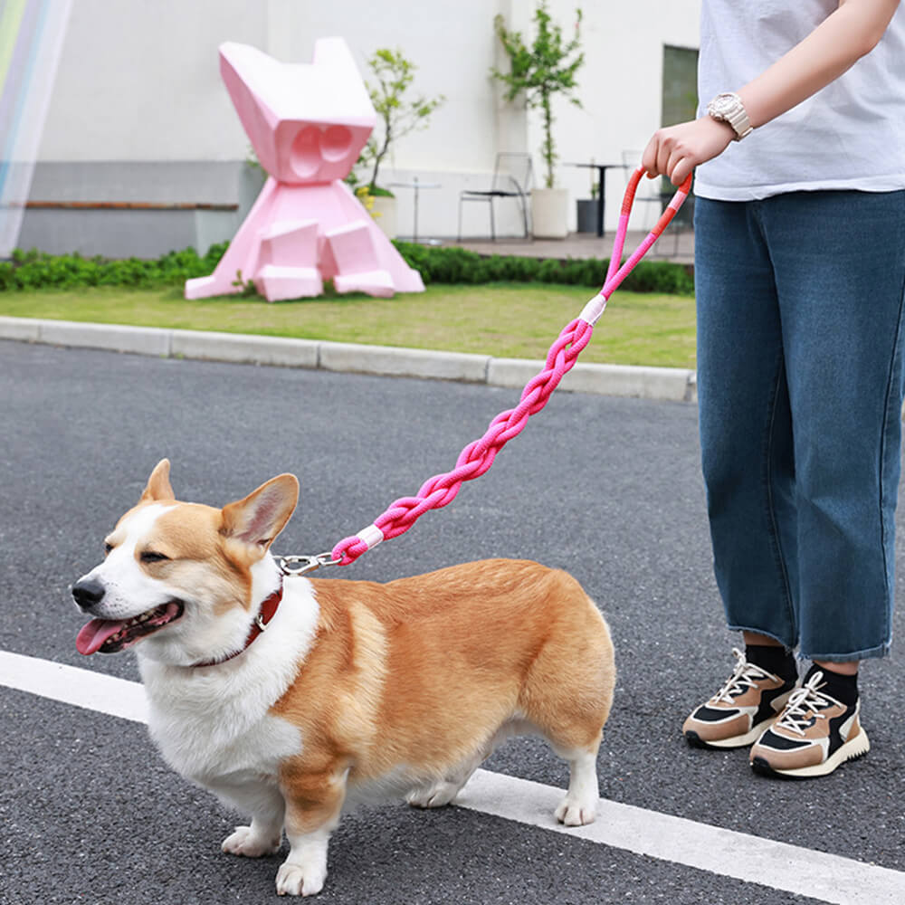 Corda de tração para cães tecida à mão - grossa e durável para caminhadas confortáveis