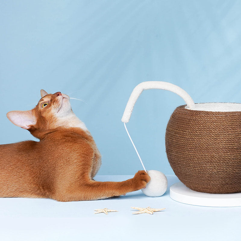 Afiadores de garras para tábua de arranhar Coconut Cat